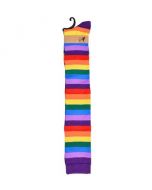 Welly Socks Rainbow