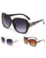 Ladies Sunglasses  Mixed Packs of 12