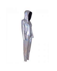 Silver Hooded Cat Suit